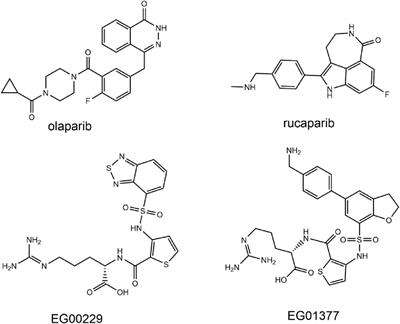 Discovery of novel PARP1/NRP1 dual-targeting inhibitors with strong antitumor potency